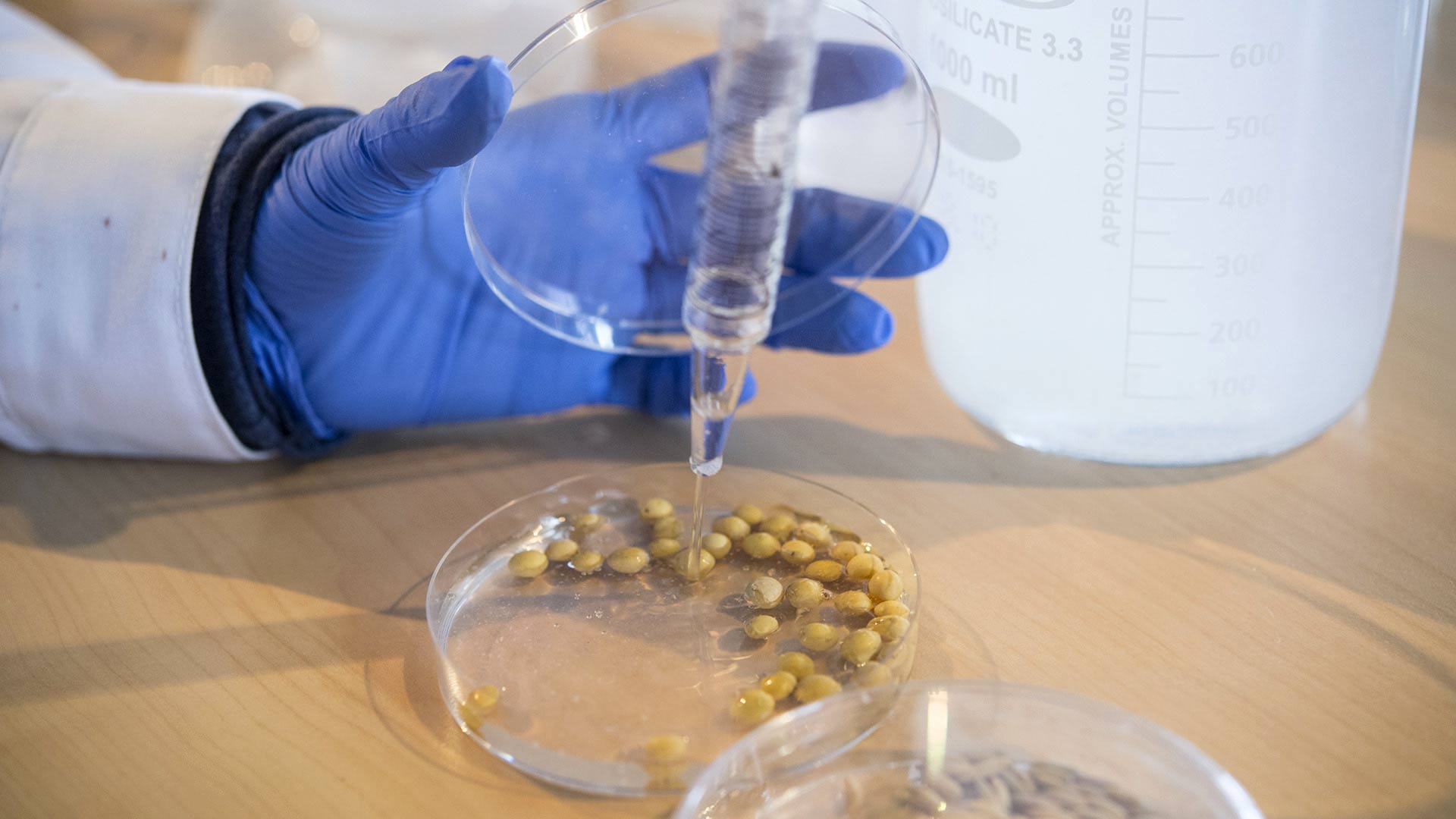 Elicit Plant, start-up spécialisée en Agri-Tech