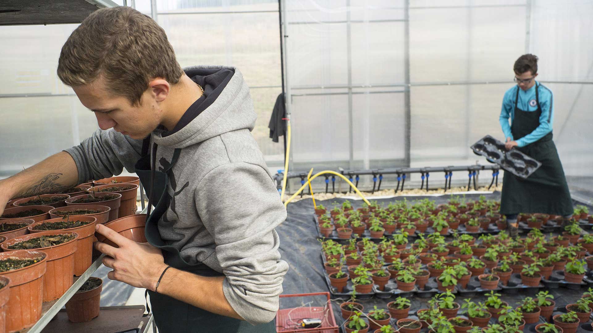 Serres bioclimatiques de Fazanis