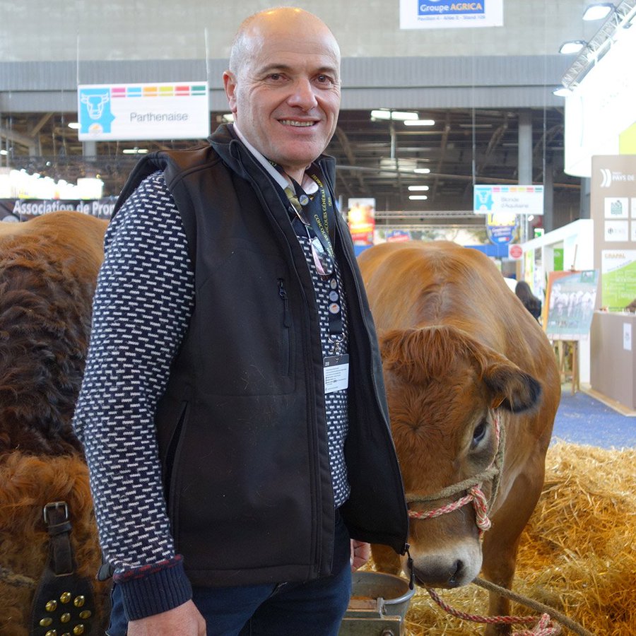 Nicolas Coudert, éleveur de porcs Culs noirs du Limousin