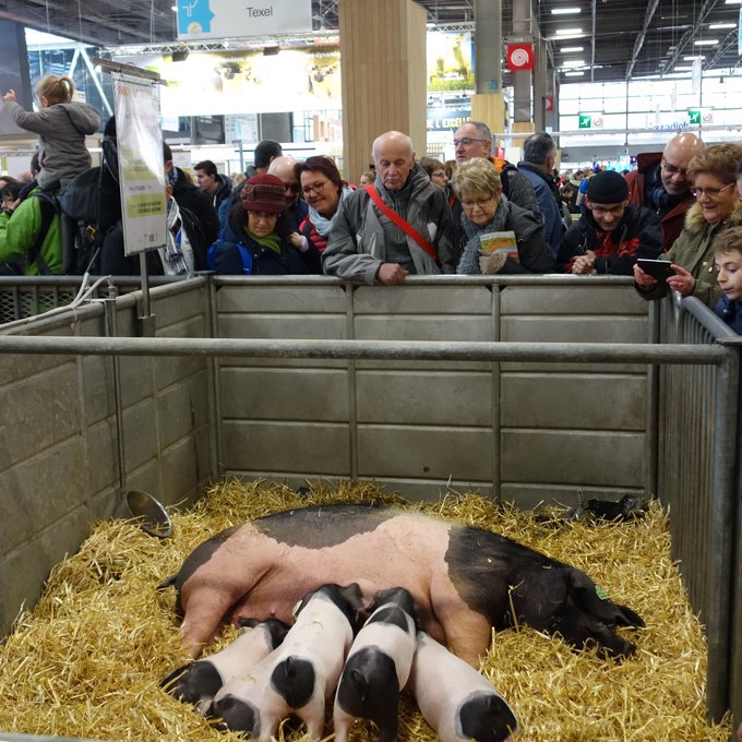 Salon de l’agriculture 2018 : la Région défend ses savoir-faire