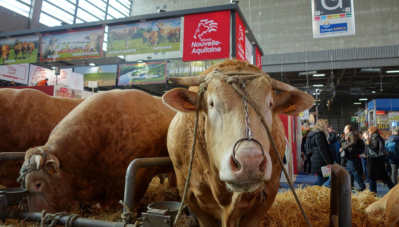 Salon de l’agriculture 2018 : la Région défend ses savoir-faire