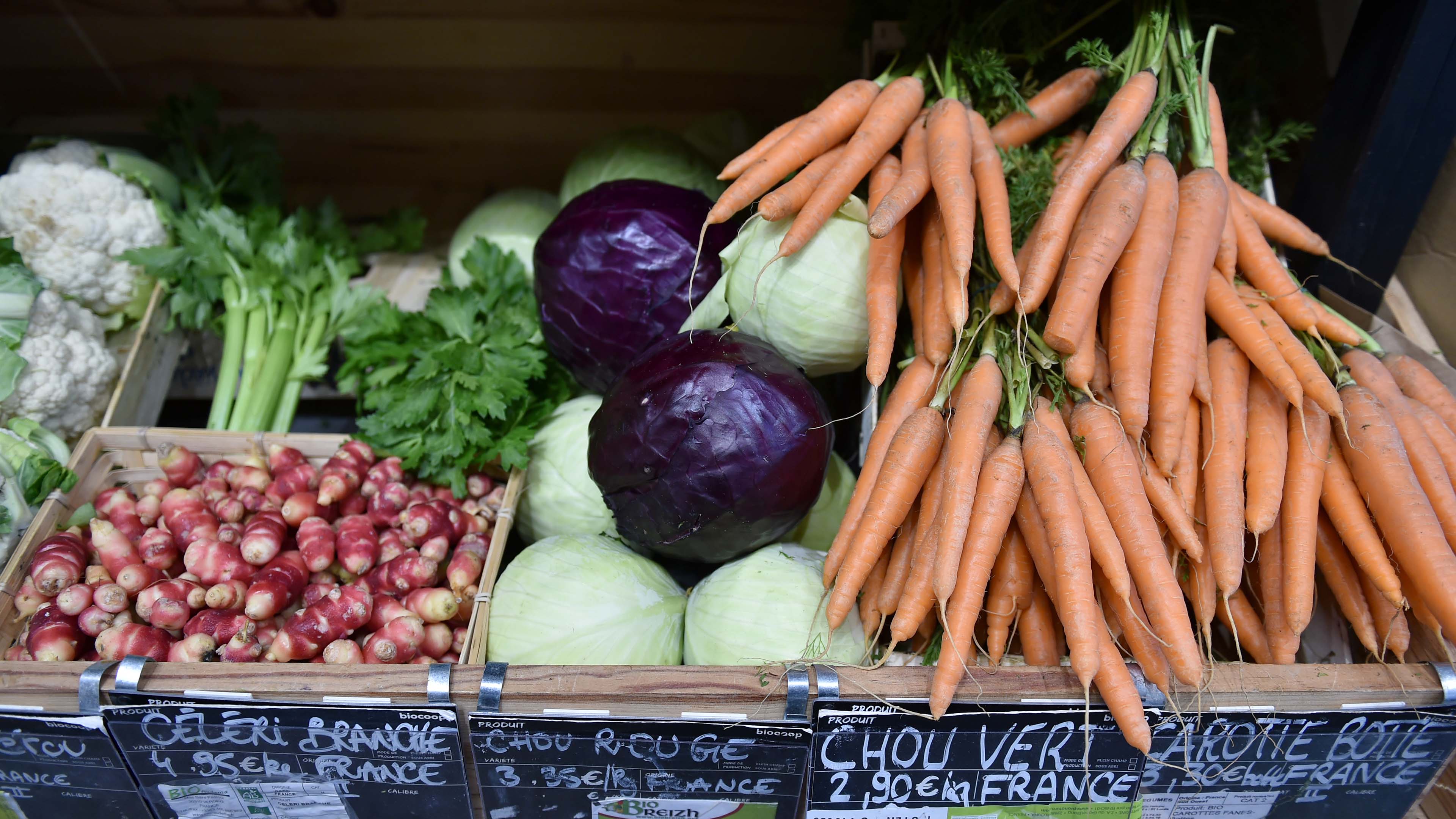agroalimentaire