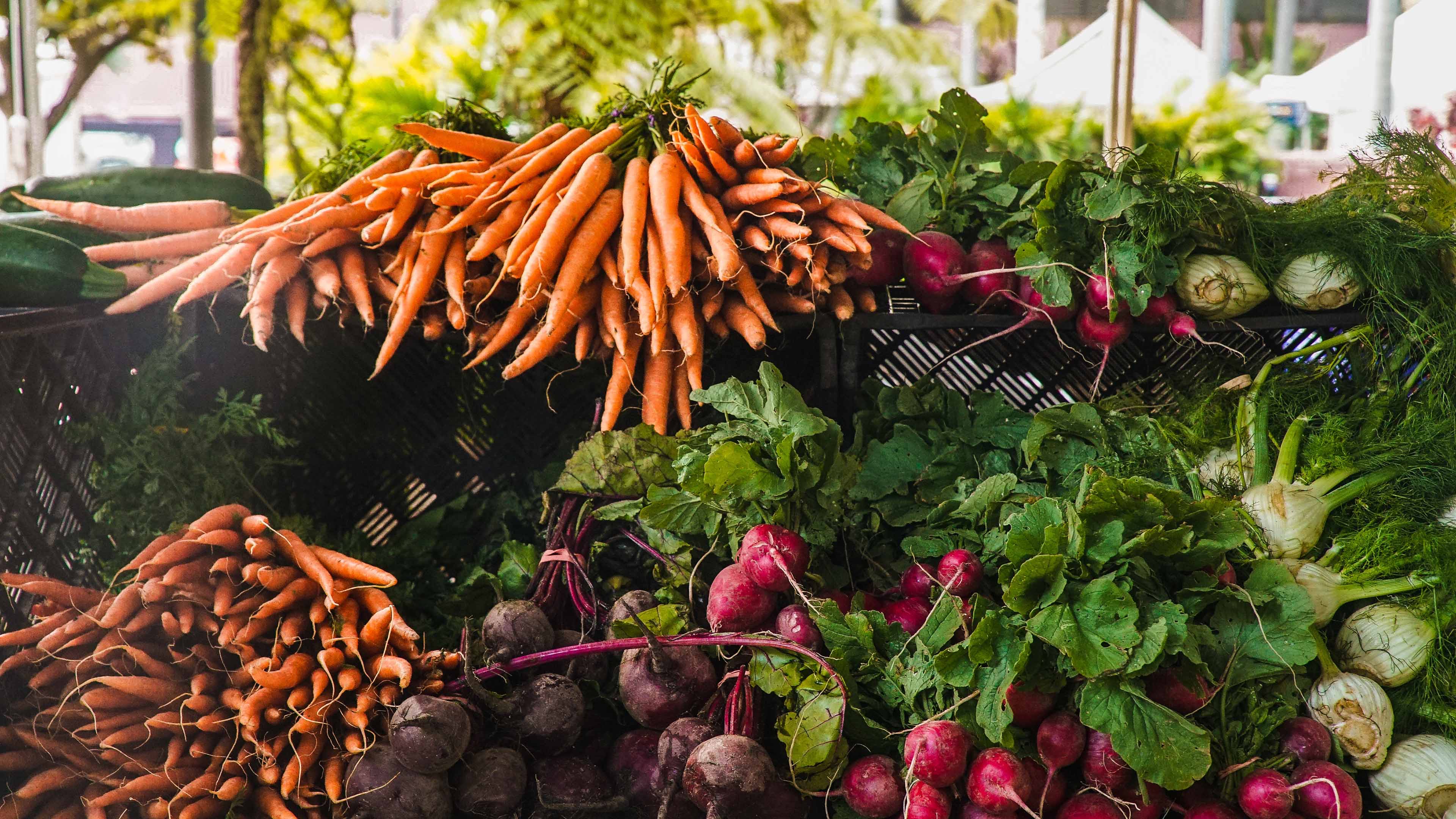 alimentation