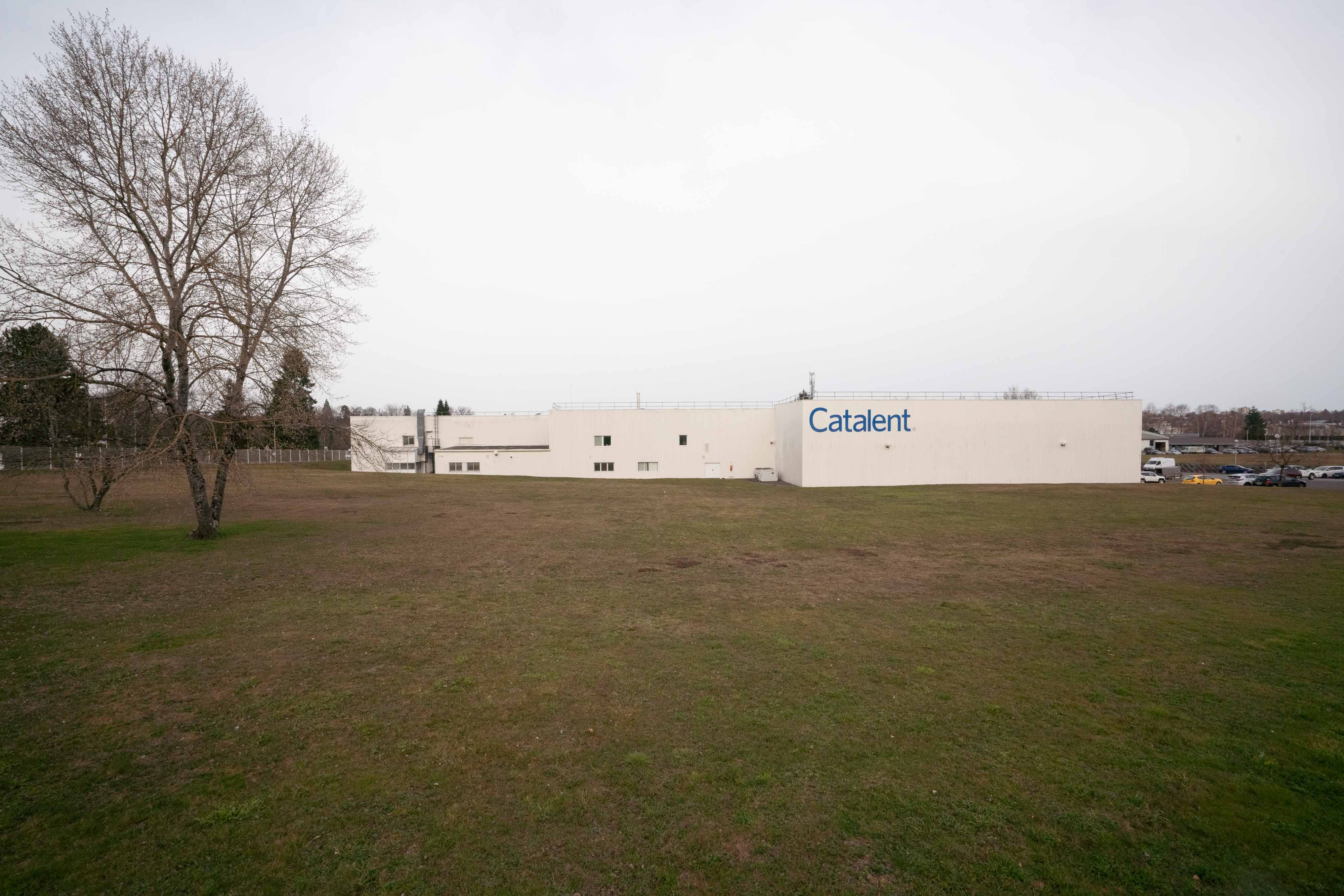 Site de Catalent Limoges