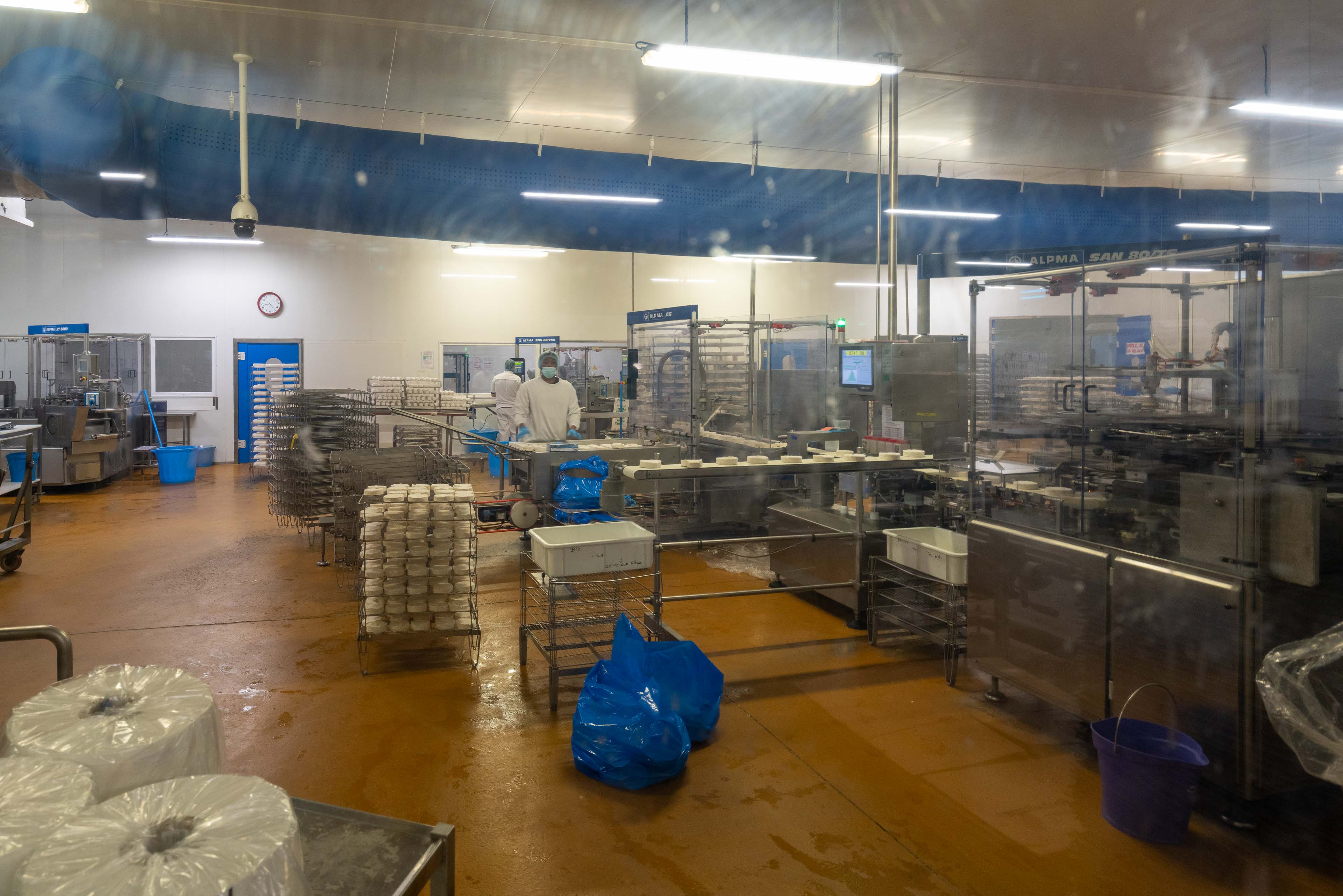 ligne de démoulage des fromages
