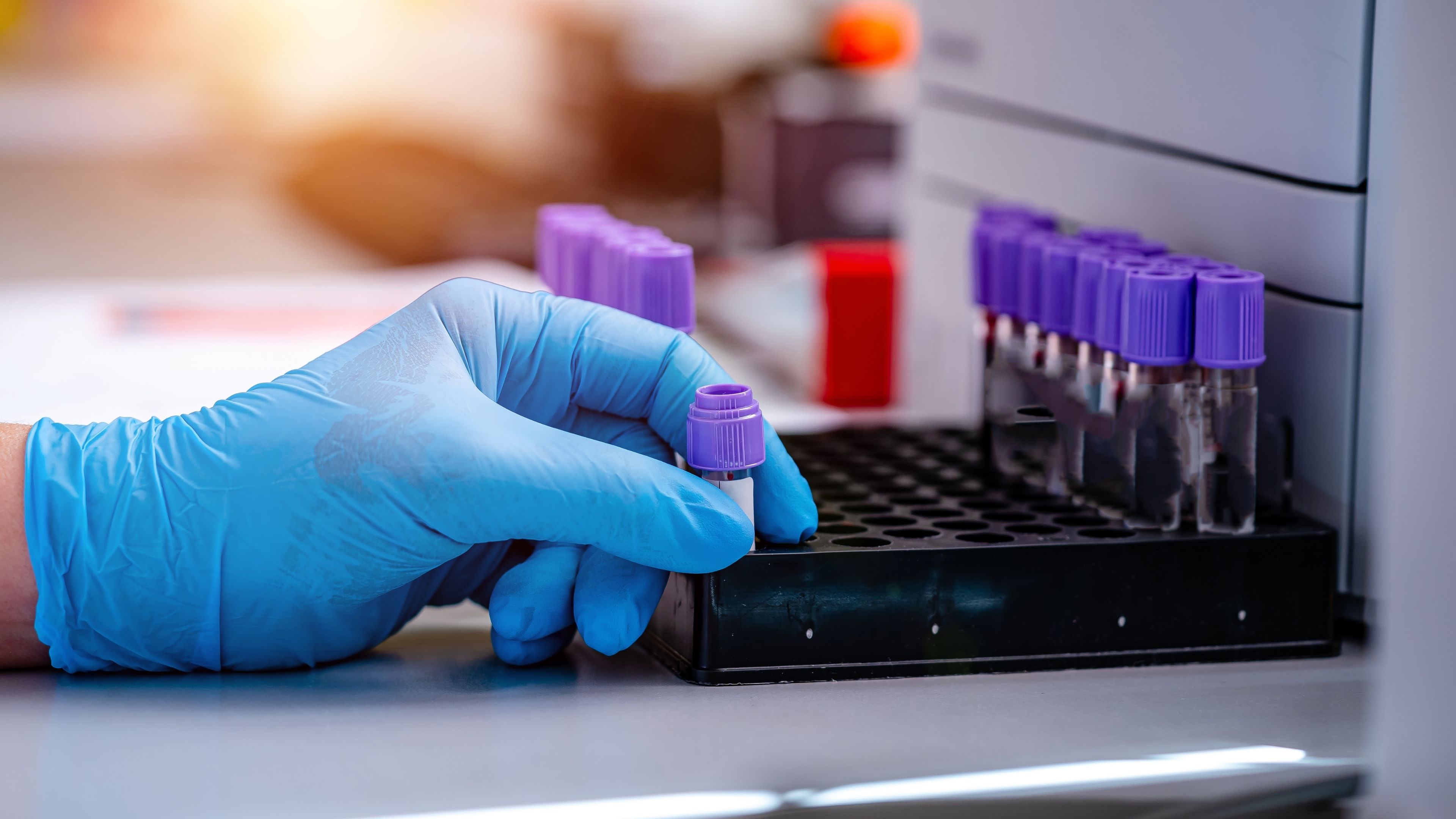 Avec Iker Herria, l’Institut Curie s'implante en NouvelleAquitaine