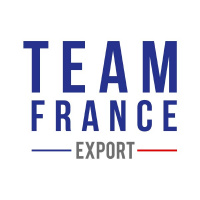 Logo Team France Export