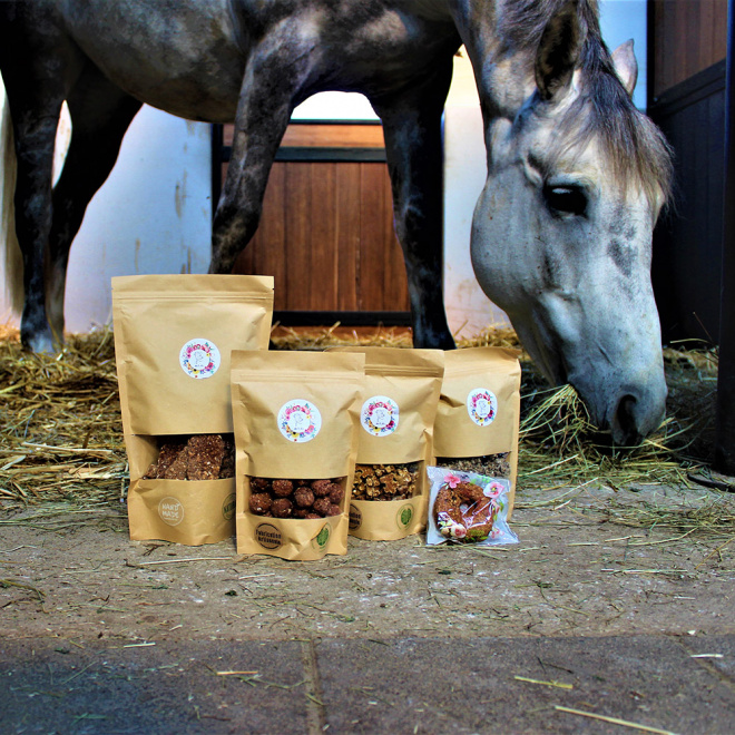 RideBioHorse