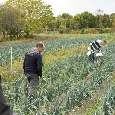 Agroécologie : la Nouvelle-Aquitaine accélère