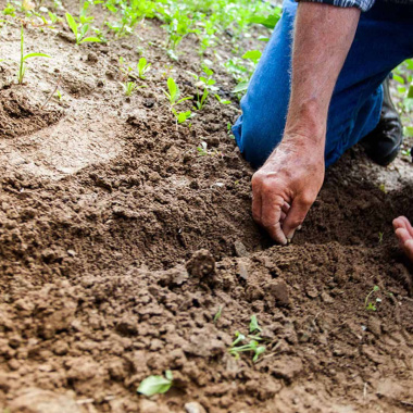 Alter’NA : un fonds de garantie pour accélérer la transition agricole