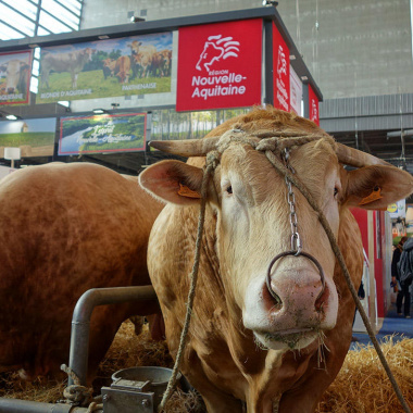 Salon de l’agriculture 2018 : la Région défend ses savoir-faire