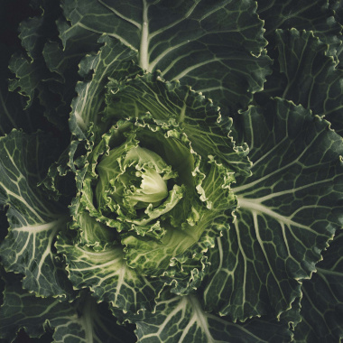 Forum agriculture innovation 2020 - Spécial Foodtech
