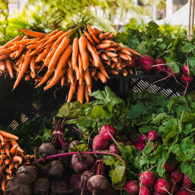 Le mois de l'agriculture de Nouvelle-Aquitaine