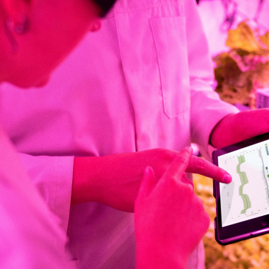 Développez de nouveaux projets agricoles innovants