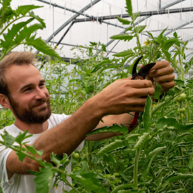 NEOCOOP, la transition agroécologique des coopératives