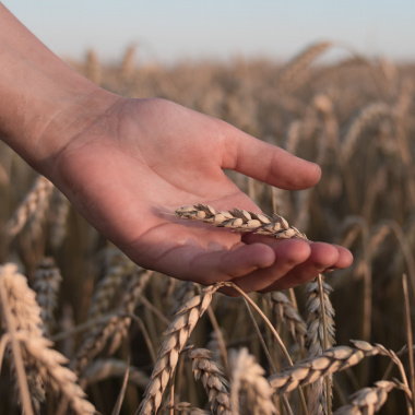 Congrès européen de l’agriculture biologique 2022