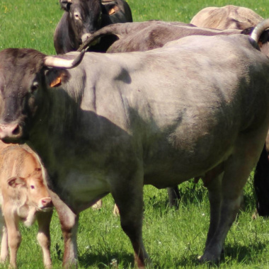 Devenez agriculteur en Nouvelle-Aquitaine, la Région vous accompagne