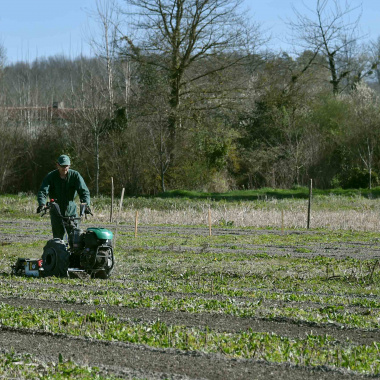 Le Pacte Bio pour l’agriculture biologique 2023-2027