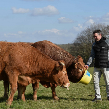 Terre Nourricière, les rencontres du manger local