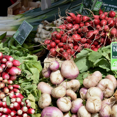 Forum des acteurs du Pacte alimentaire Nouvelle-Aquitaine