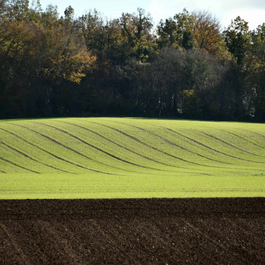 Webinaire Agriculture - Découvrir les MAEC