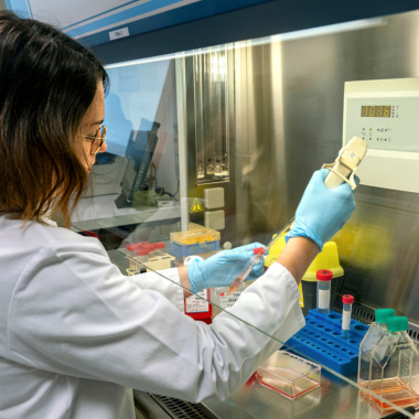 Cancer du poumon : la start-up Yomi Pharma innove