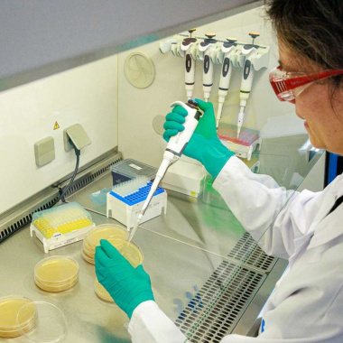 Danisco France, moteur de l’innovation en ferments lactiques