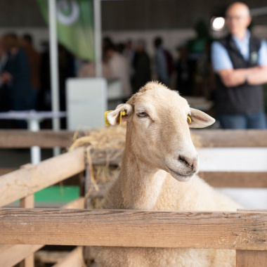 La Ferme s’invite