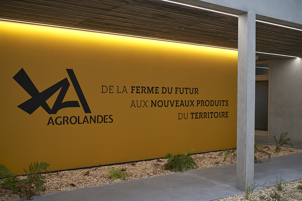 Agrolandes