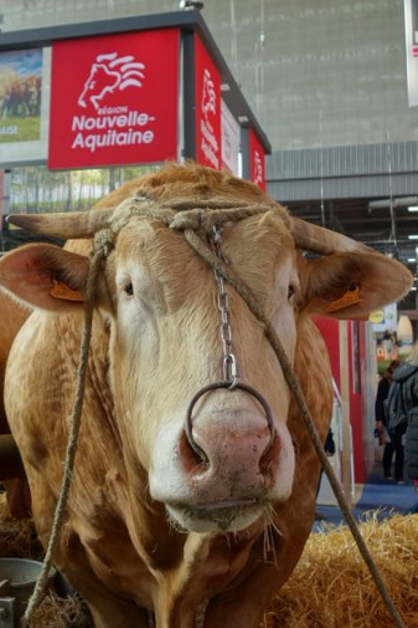 Salon de l’agriculture 2018 : la Région défend ses savoir-faire
