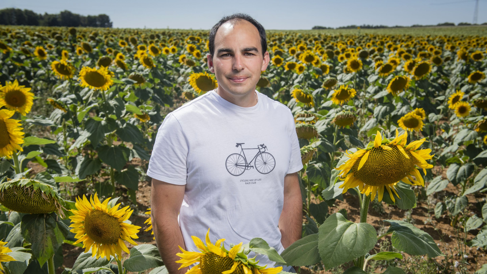 agriculteur dans champ de tournesols