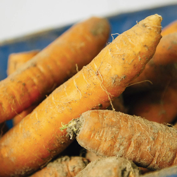 Coronavirus - Une plateforme solidaire pour la livraison de produits locaux