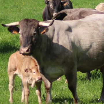 Devenez agriculteur en Nouvelle-Aquitaine, la Région vous accompagne