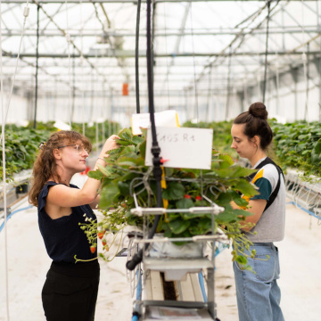 Neuf nouveaux projets d'agriculture innovants soutenus par la Région