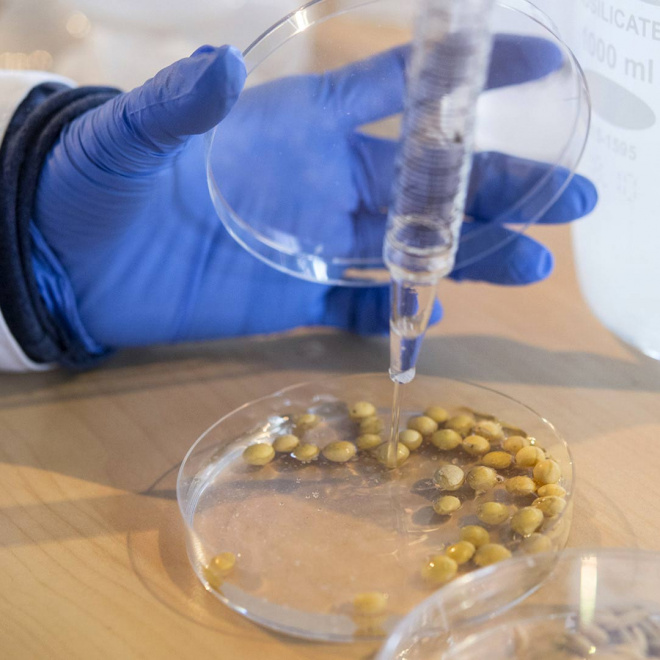 Enseignement supérieur, recherche et innovation