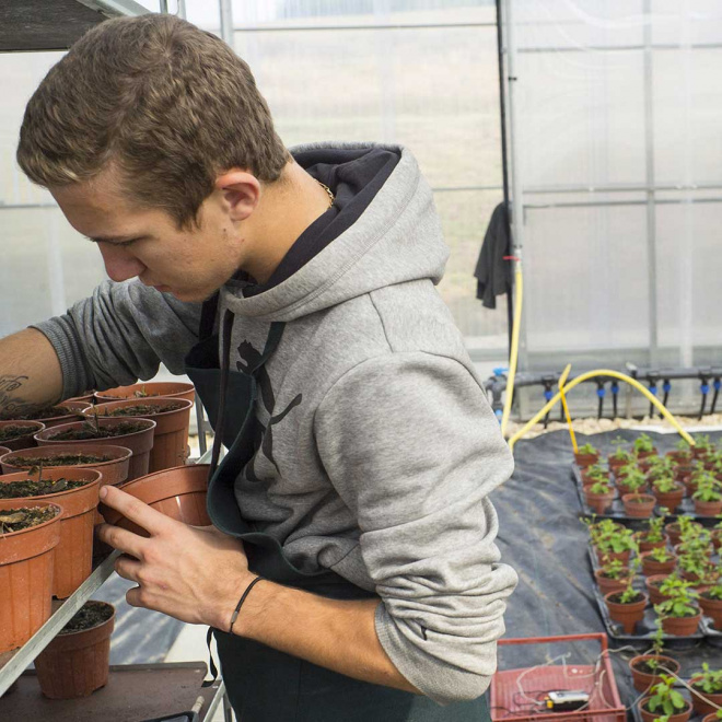 Filières agriculture, agroalimentaire et pêche en Nouvelle-Aquitaine