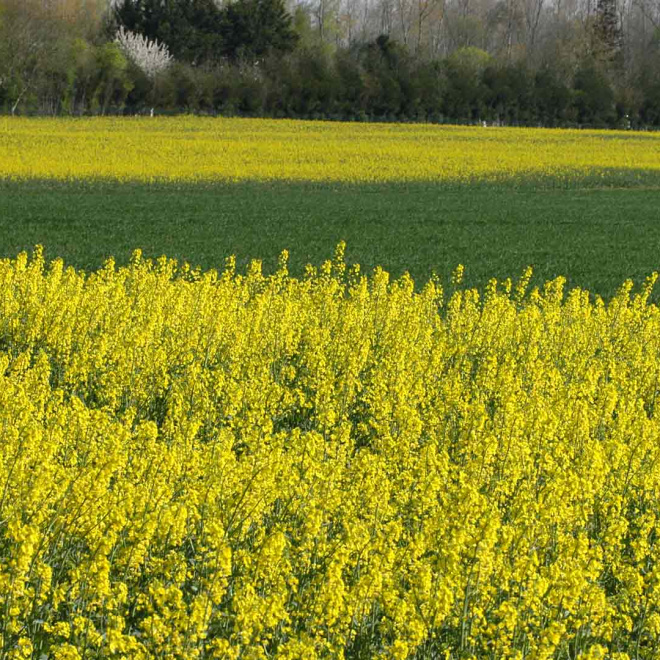 Colloque Responsabilité Sociétale des Entreprises (RSE)