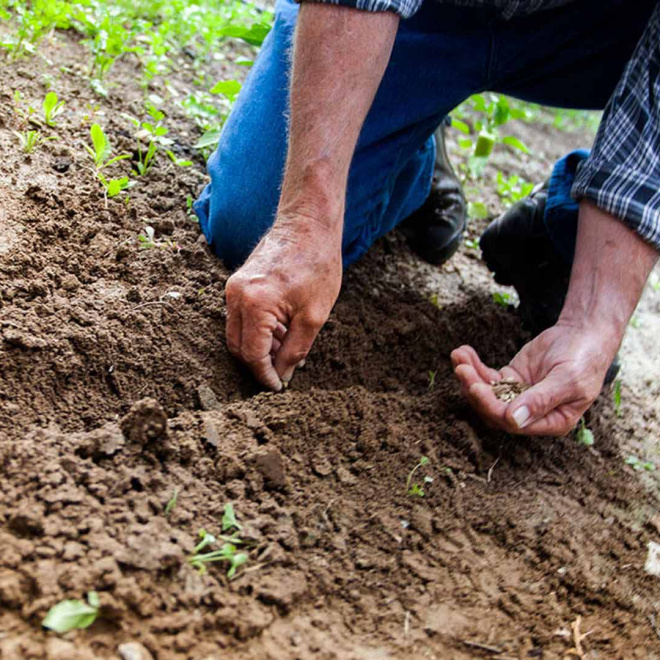 Alter’NA : un fonds de garantie pour accélérer la transition agricole