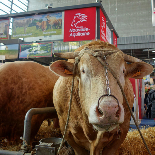 Salon de l’agriculture 2018 : la Région défend ses savoir-faire