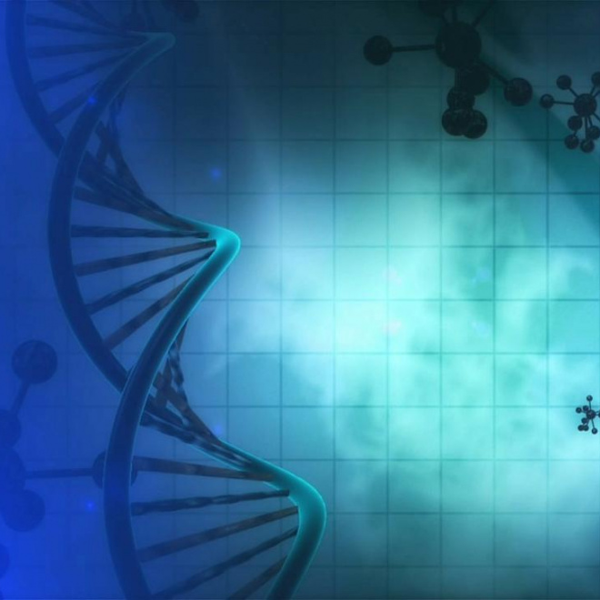 Lutte contre le cancer : avancer grâce à l’innovation