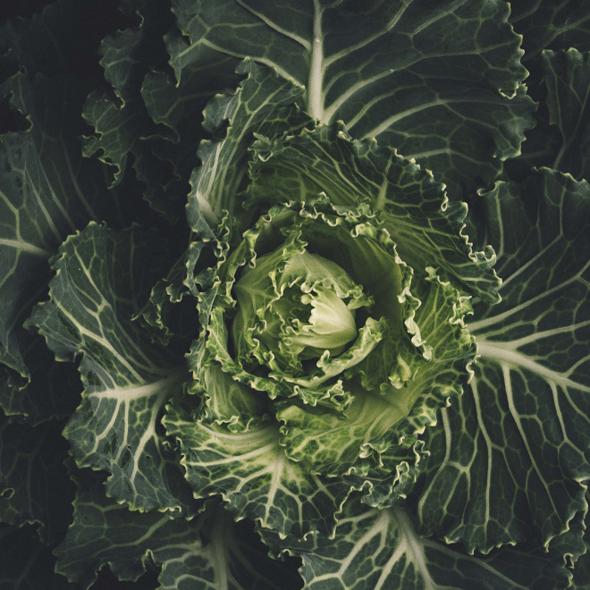 Forum agriculture innovation 2020 - Spécial Foodtech