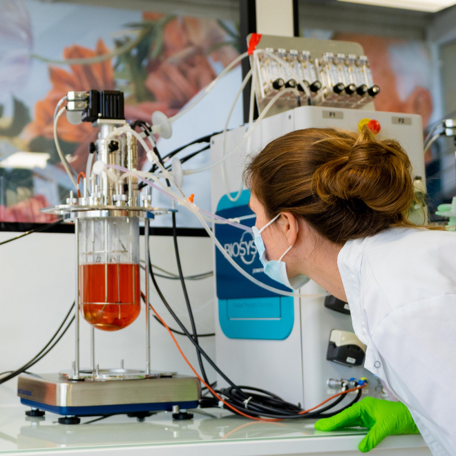 TreeFrog Therapeutics dessine l’avenir de la thérapie cellulaire