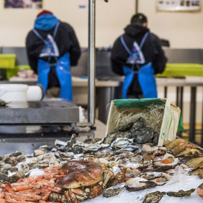 Assises de l’économie de la mer