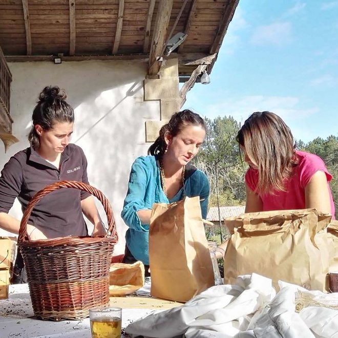 Destination Parcs, pour un tourisme durable dans les parcs naturels régionaux