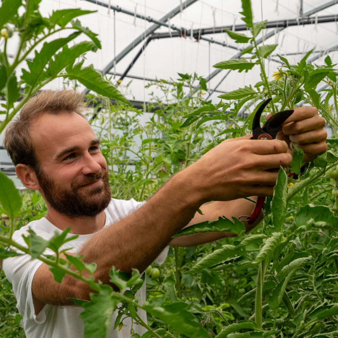 NEOCOOP, la transition agroécologique des coopératives