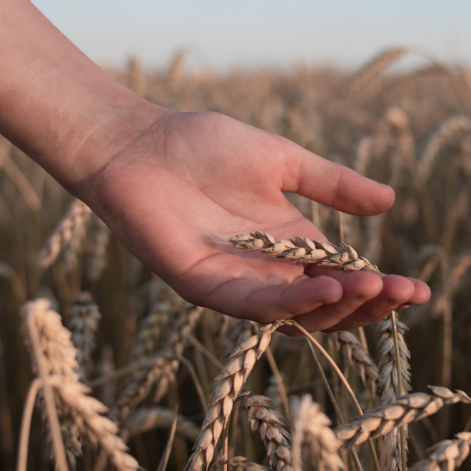 Congrès européen de l’agriculture biologique 2022