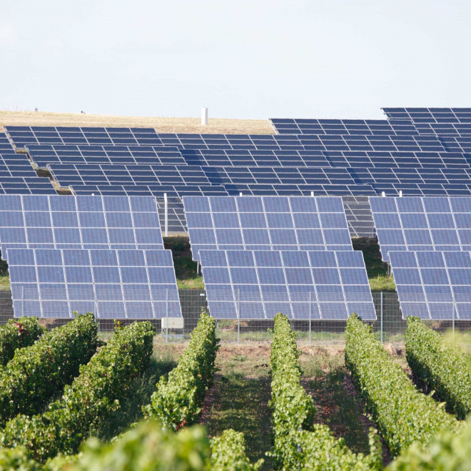 Agri-solaire : imaginer le photovoltaïque de demain 