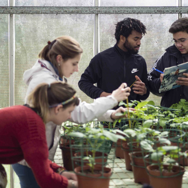Se former aux métiers de l'agriculture et du vivant