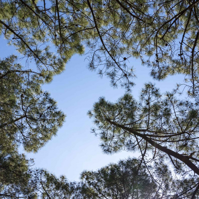 Salon de la neutralité carbone
