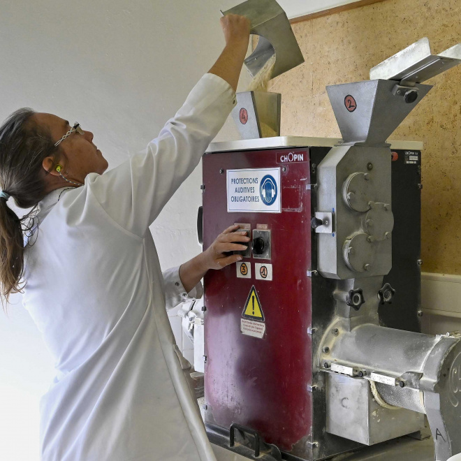 Bellot Minoteries, 1er moulin de Nouvelle-Aquitaine familial et indépendant
